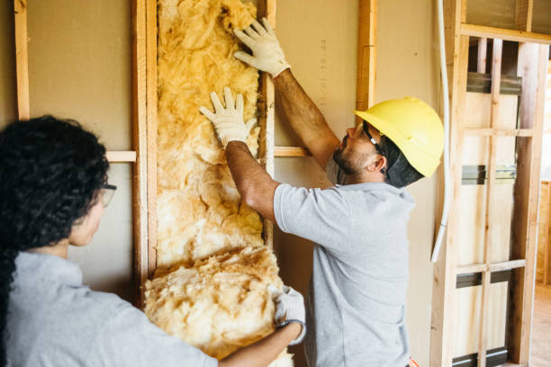 Range of Insulation Solutions in Skyline View, PA