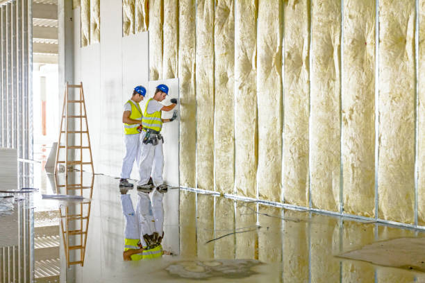 Best Insulation for New Construction  in Skyline View, PA